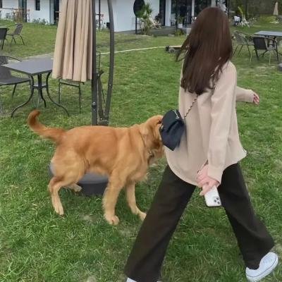 假如我们可以